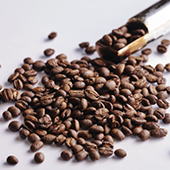茶寮本間コーヒー